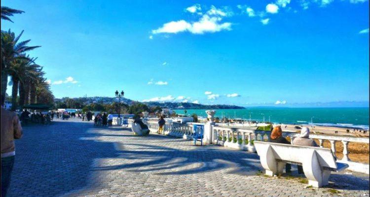 Coin Paisible Au Centre De La Marsa Apartment Bagian luar foto
